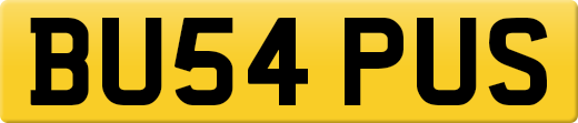 BU54PUS